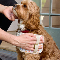 paw prints pet hair remover pads