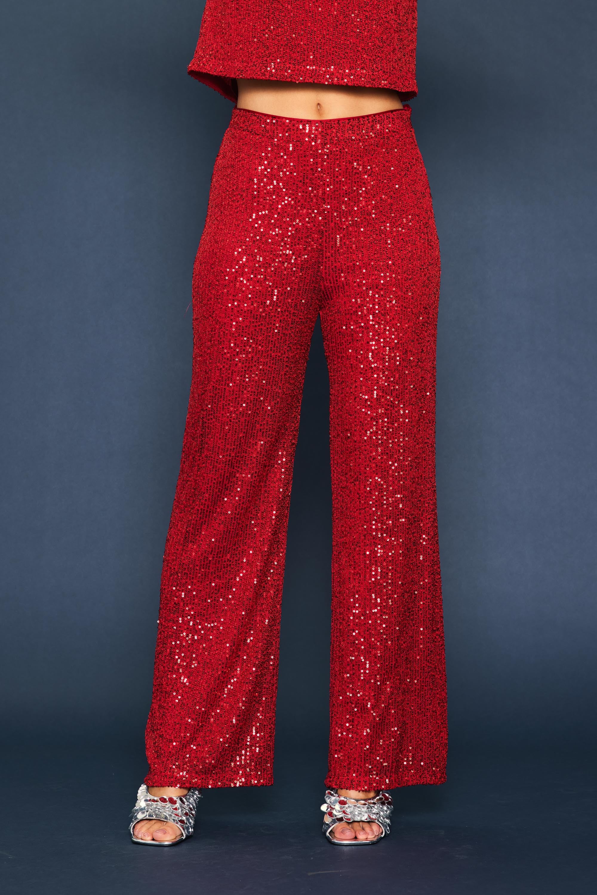 Greta Silver Sequin Top & Pants Set