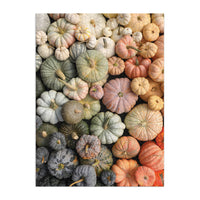 heirloom pumpkins 1000pc puzzle