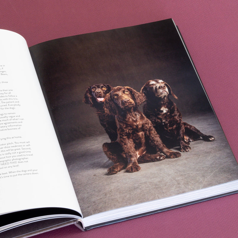 year of the dogs coffee table book