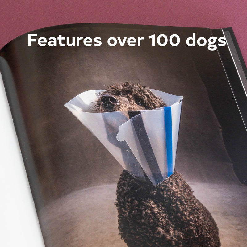 year of the dogs coffee table book