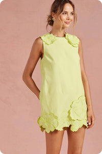 brighton 3D floral appliqué mini shift dress