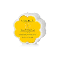 spongelle | daisy collection spongettes