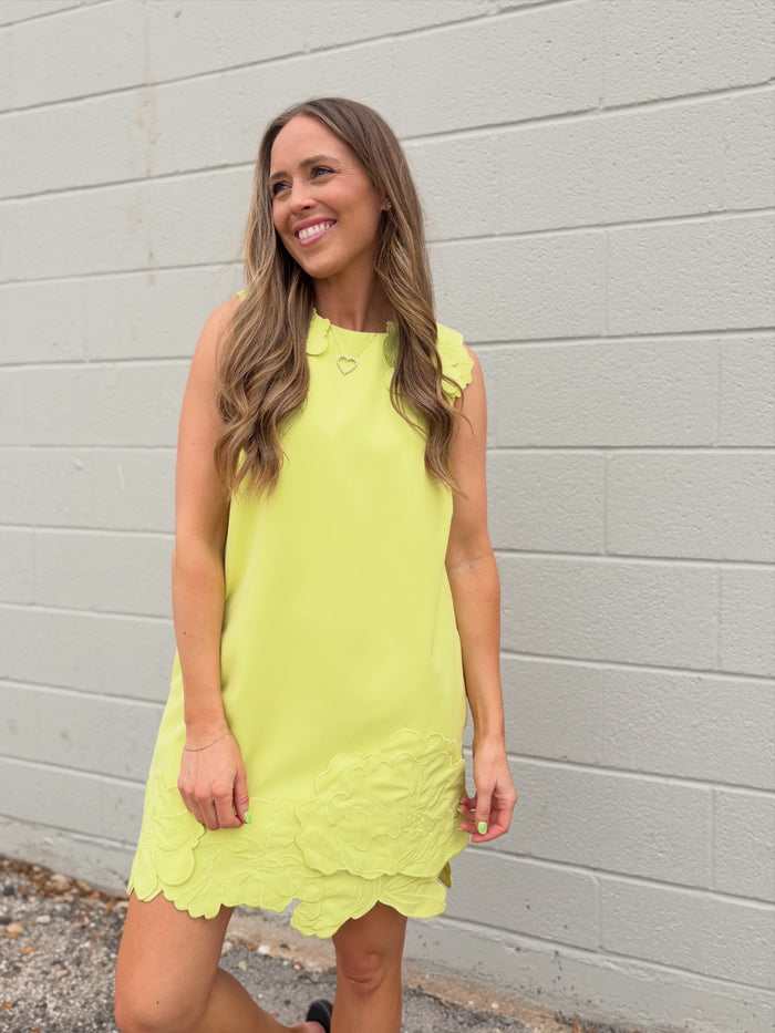 brighton 3D floral appliqué mini shift dress