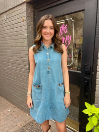 blaine collared dress