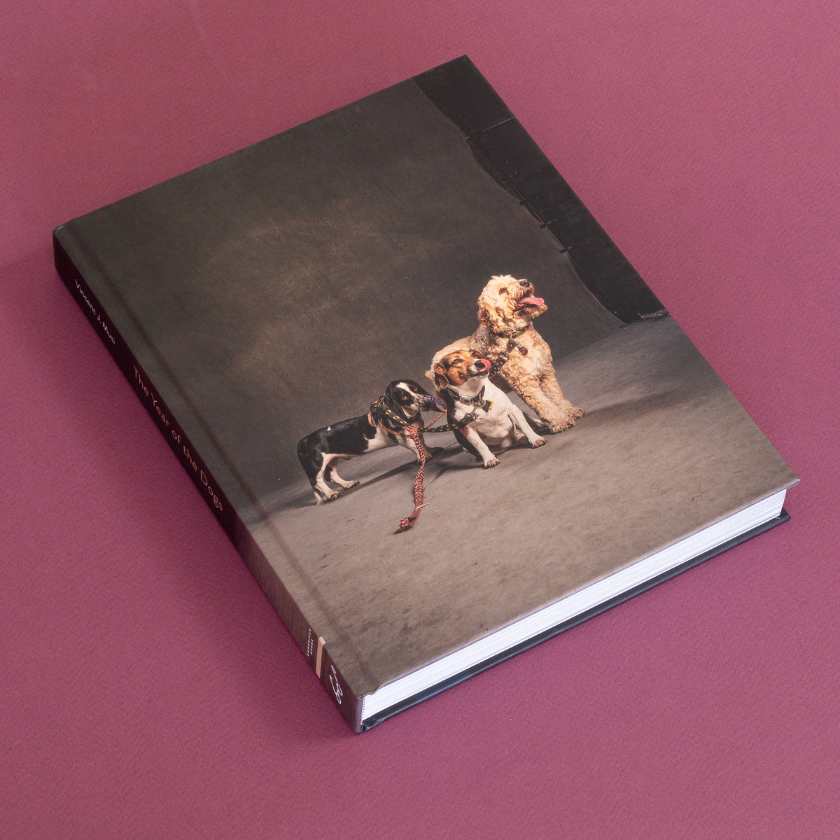 year of the dogs coffee table book