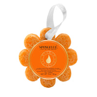 spongelle | wild flowers: 3oz
