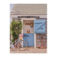 nantucket 1000pc book box puzzle | gray malin