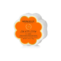 spongelle | daisy collection spongettes
