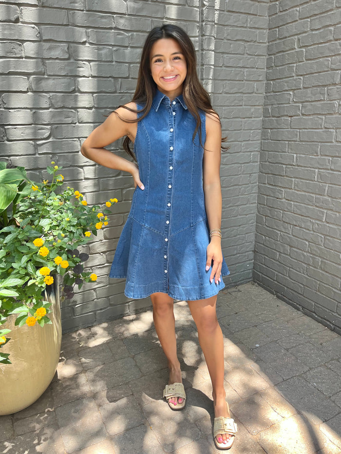 hazel denim collared dress
