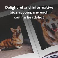year of the dogs coffee table book