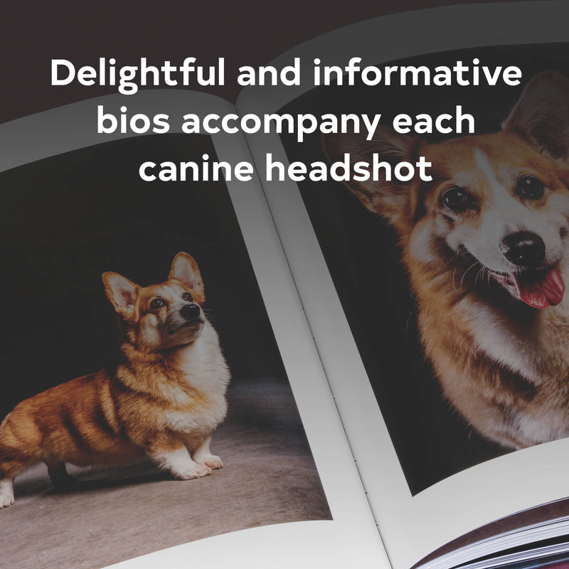 year of the dogs coffee table book