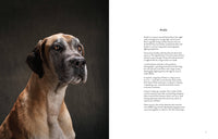 year of the dogs coffee table book