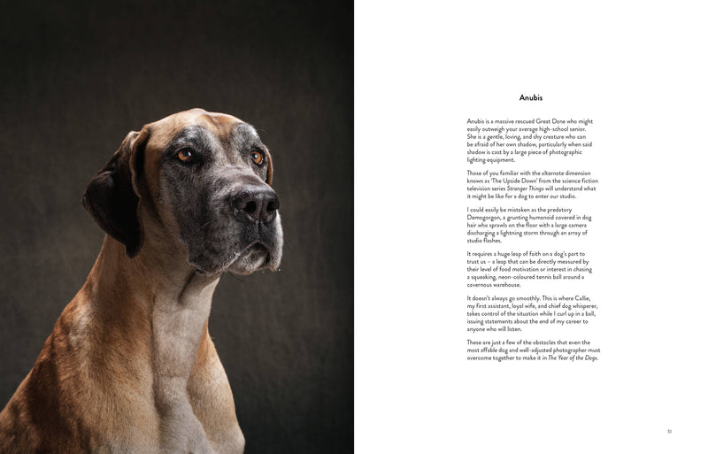 year of the dogs coffee table book