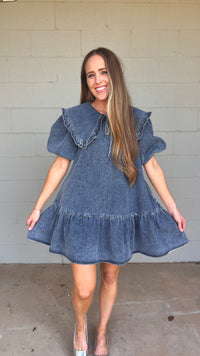 cecilia denim dress