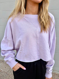 lavender mineral washed cropped sweatshirt