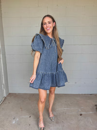 cecilia denim dress