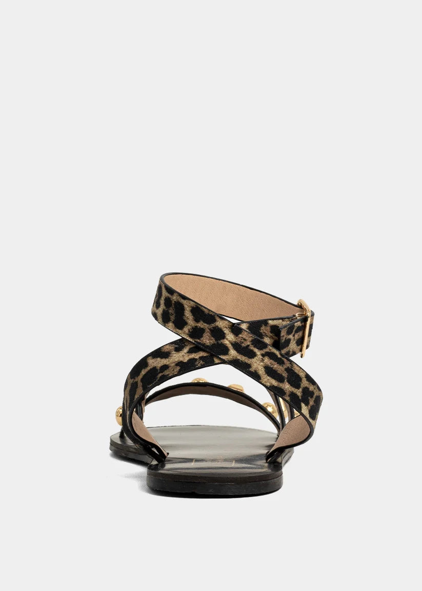 daphne leopard sandal