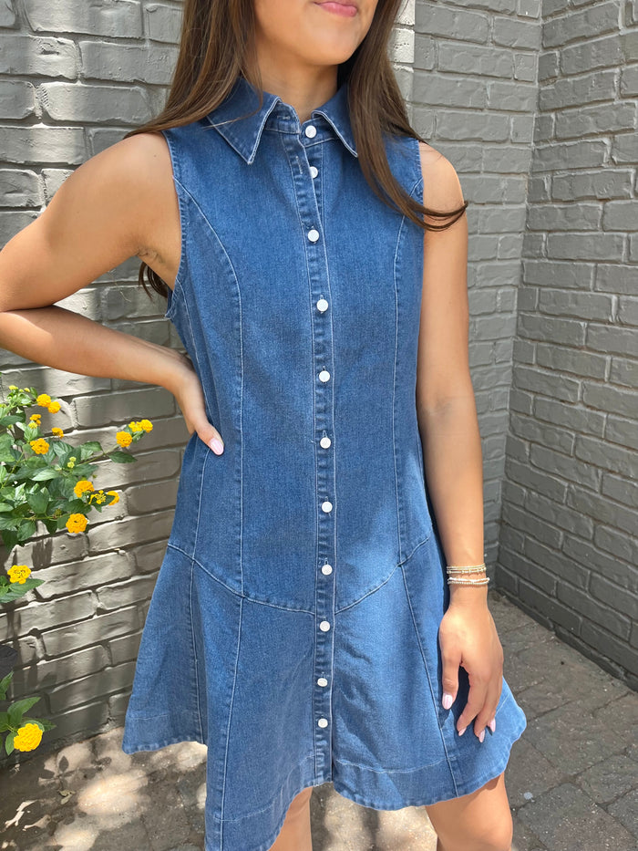hazel denim collared dress