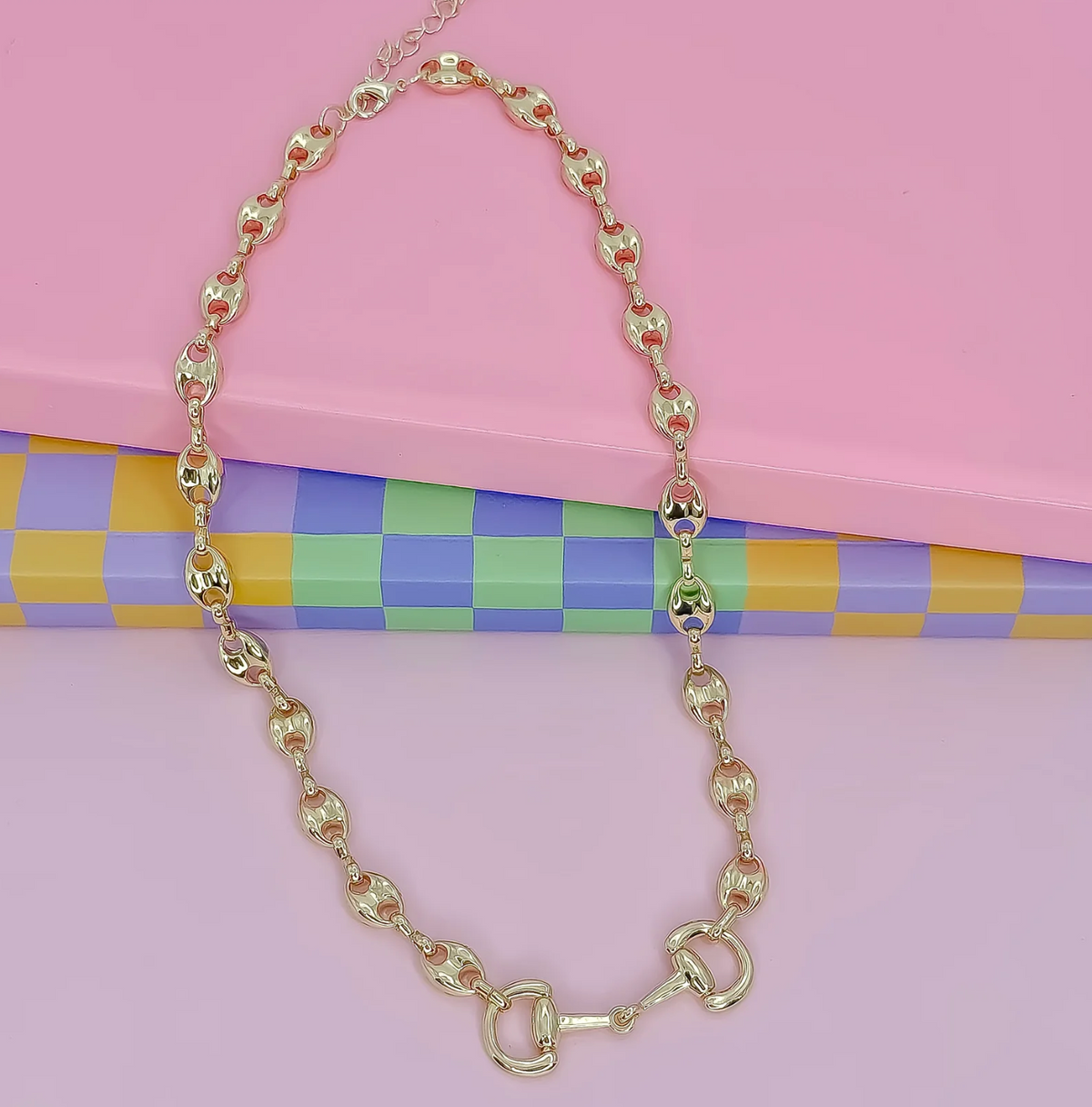 saddle luxe link necklace