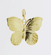 removable necklace charms . TJ