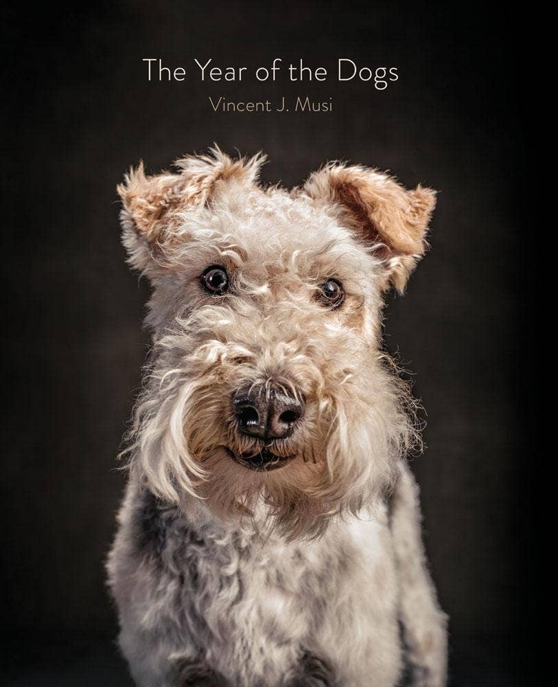 year of the dogs coffee table book