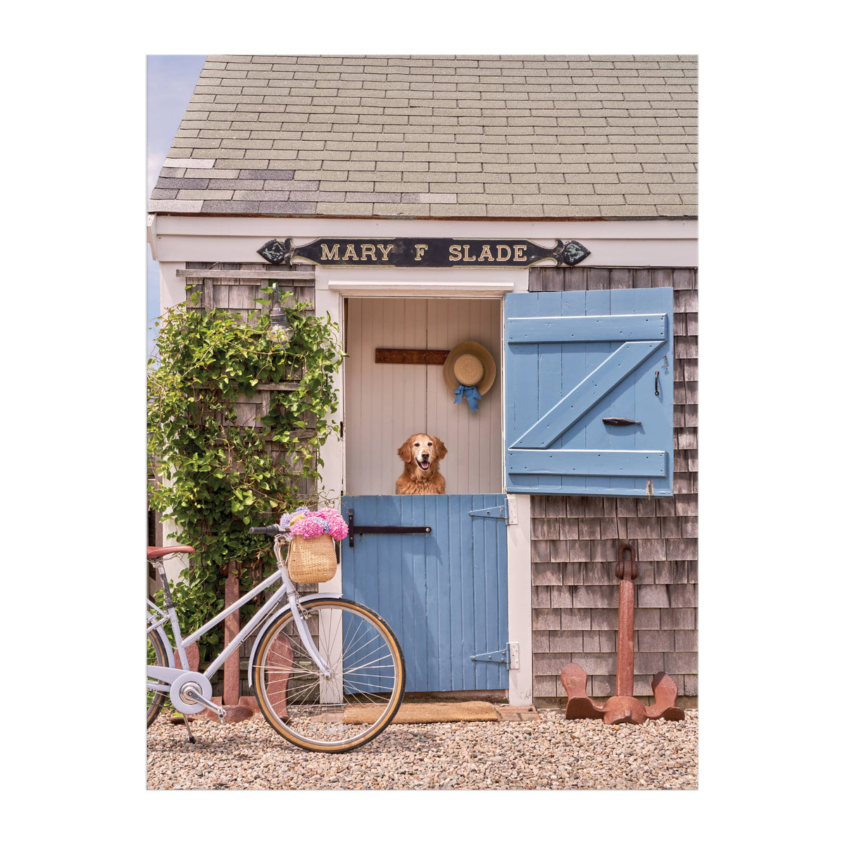 nantucket 1000pc book box puzzle | gray malin