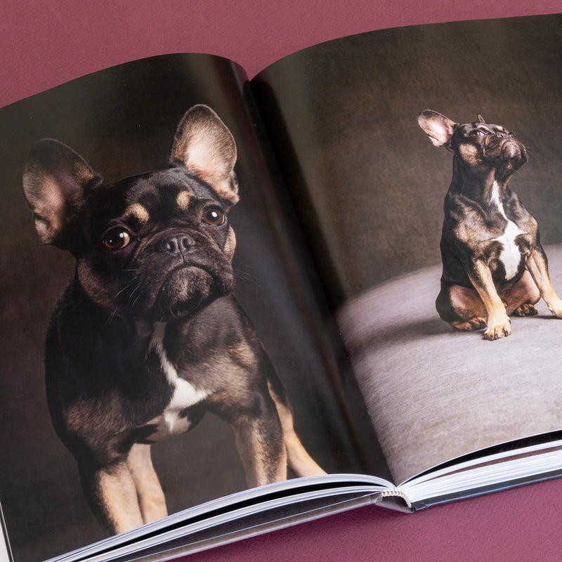 year of the dogs coffee table book