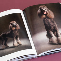 year of the dogs coffee table book