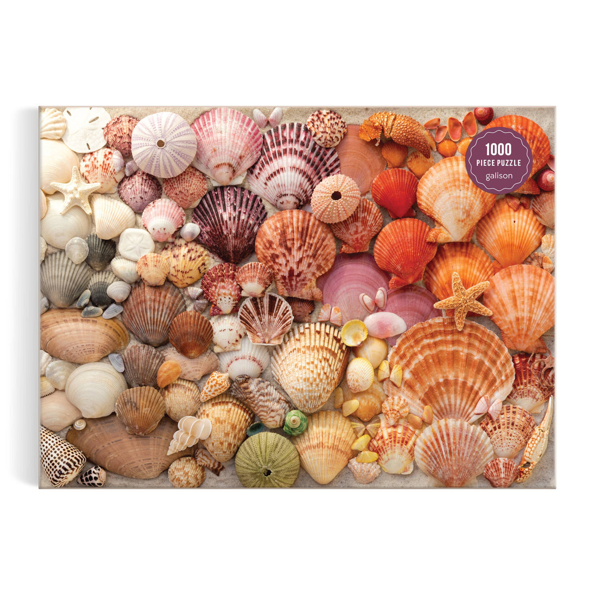 vibrant seashells 1000pc puzzle