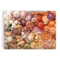 vibrant seashells 1000pc puzzle