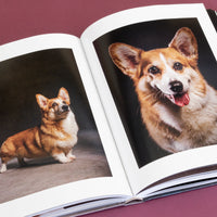 year of the dogs coffee table book