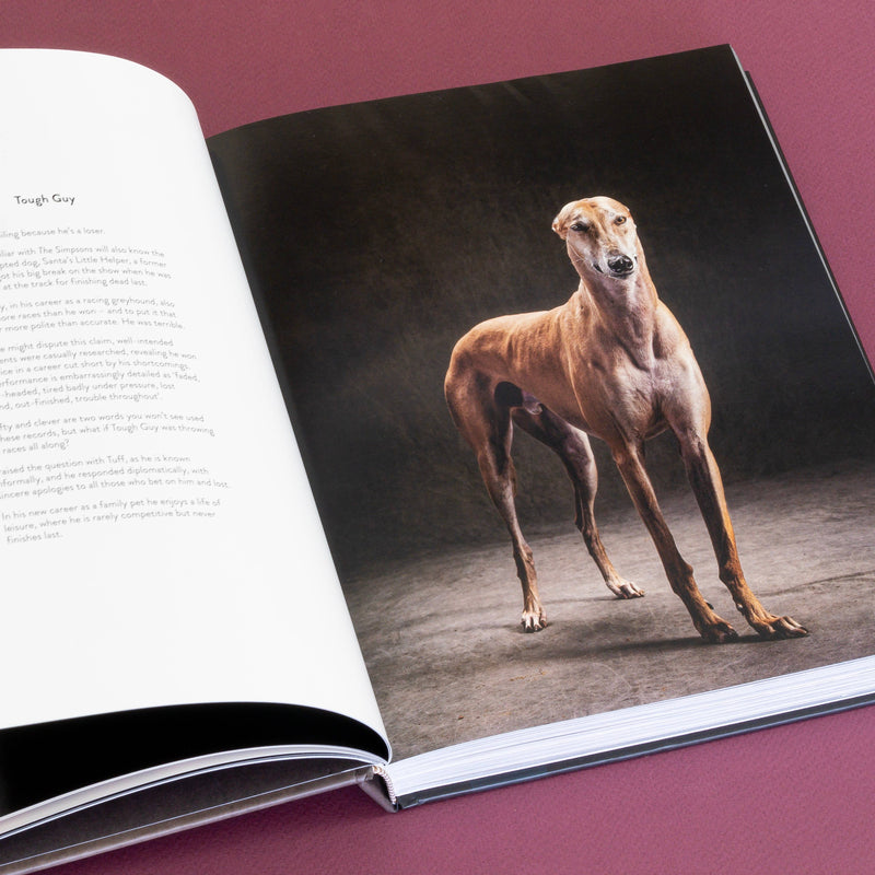 year of the dogs coffee table book