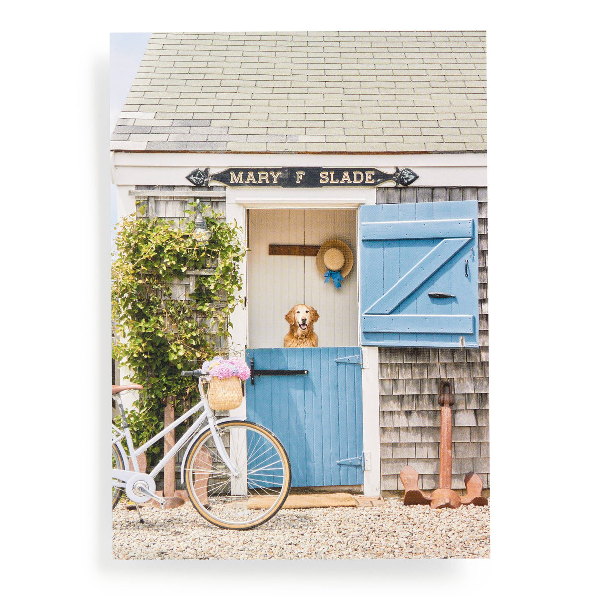nantucket 1000pc book box puzzle | gray malin