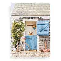 nantucket 1000pc book box puzzle | gray malin