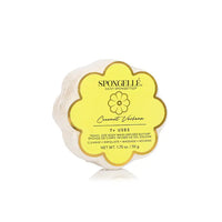 spongelle | daisy collection spongettes
