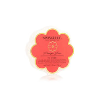 spongelle | daisy collection spongettes